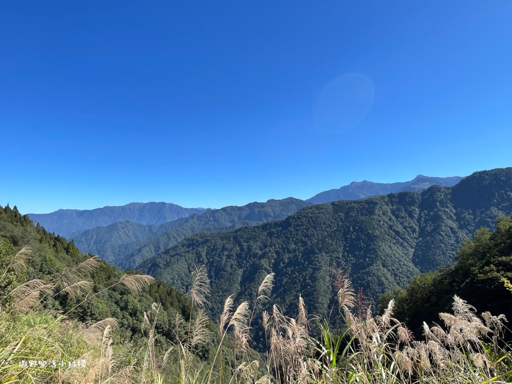 久違新中橫【塔塔加、特富野古道】快閃清境/合歡山暗空公園/鳶