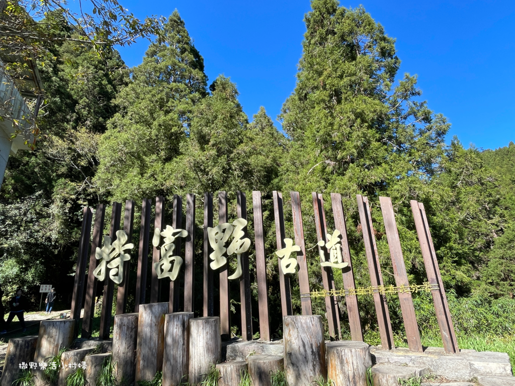 久違新中橫【塔塔加、特富野古道】快閃清境/合歡山暗空公園/鳶