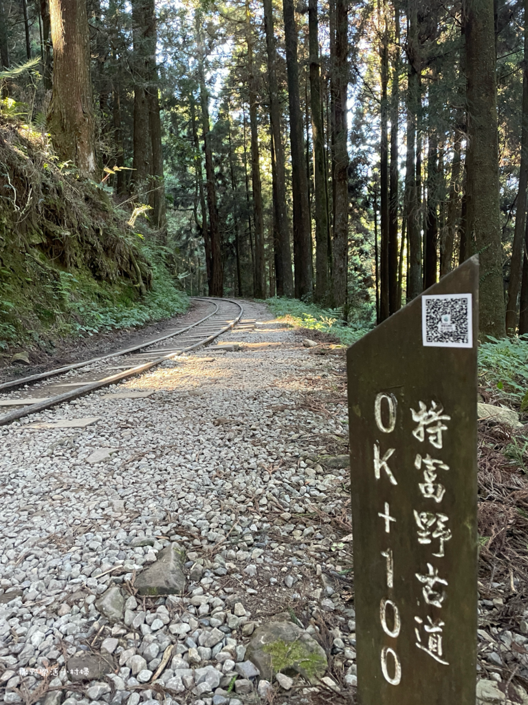 久違新中橫【塔塔加、特富野古道】快閃清境/合歡山暗空公園/鳶