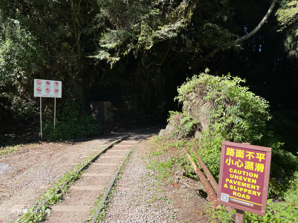 久違新中橫【塔塔加、特富野古道】快閃清境/合歡山暗空公園/鳶