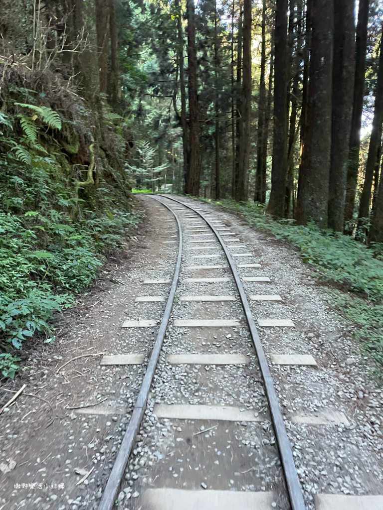 久違新中橫【塔塔加、特富野古道】快閃清境/合歡山暗空公園/鳶