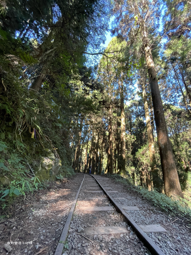 久違新中橫【塔塔加、特富野古道】快閃清境/合歡山暗空公園/鳶