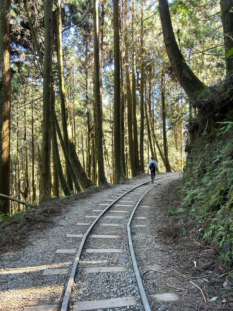 久違新中橫【塔塔加、特富野古道】快閃清境/合歡山暗空公園/鳶