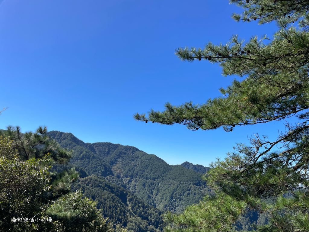 久違新中橫【塔塔加、特富野古道】快閃清境/合歡山暗空公園/鳶