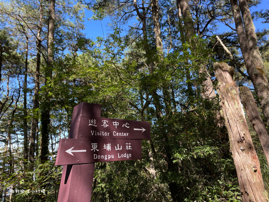 久違新中橫【塔塔加、特富野古道】快閃清境/合歡山暗空公園/鳶