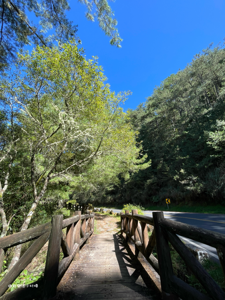 久違新中橫【塔塔加、特富野古道】快閃清境/合歡山暗空公園/鳶