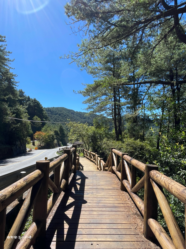 久違新中橫【塔塔加、特富野古道】快閃清境/合歡山暗空公園/鳶