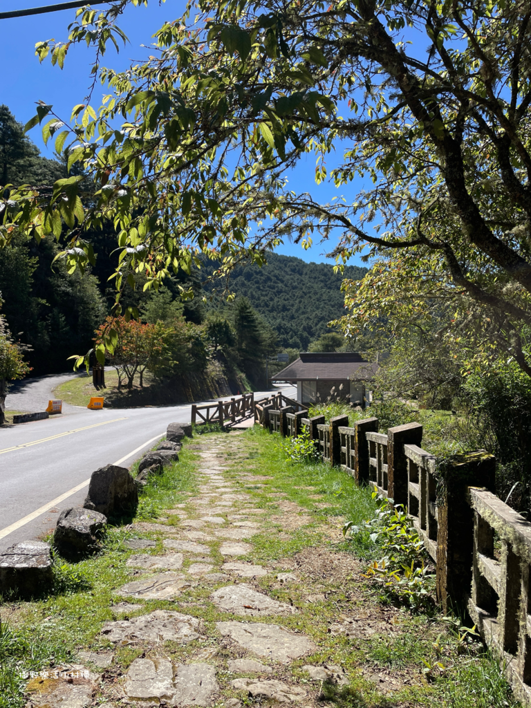 久違新中橫【塔塔加、特富野古道】快閃清境/合歡山暗空公園/鳶