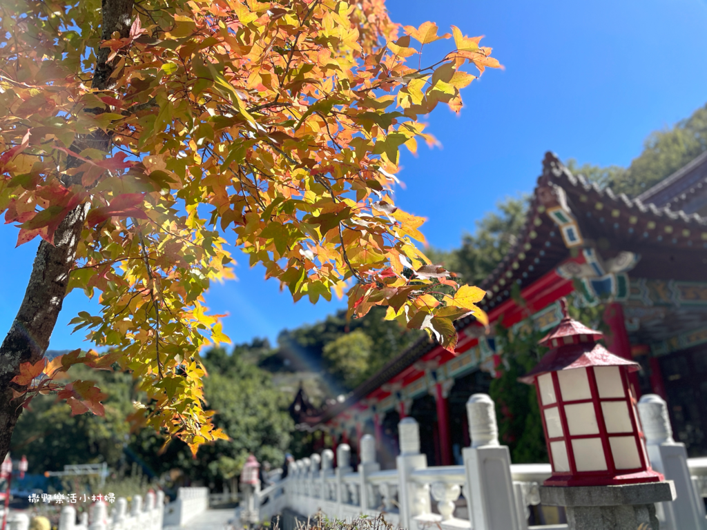 久違新中橫【塔塔加、特富野古道】快閃清境/合歡山暗空公園/鳶