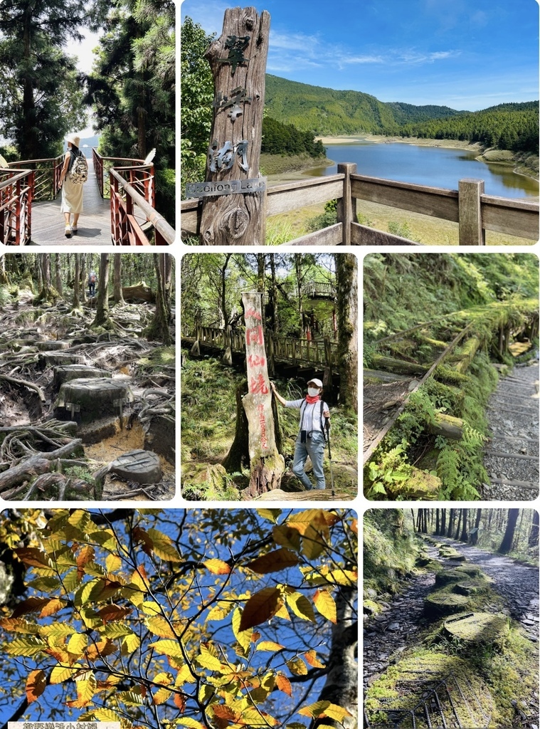 宜蘭,大同,宜蘭景點,大同景點,太平山國家森林遊樂區,森林步道,步道,登山,健行,見晴懷古步道,翠峰湖環山步道,台灣山毛櫸國家步道,茂興懷舊步道,檜木原始林步道,鐵杉林自然步道,望洋山步道,寧靜步道,寂靜山徑