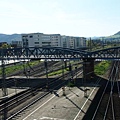 PA182489.JPG