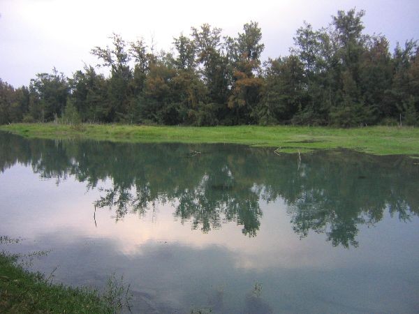 台東 濱海森林公園