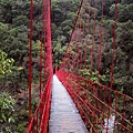 天龍吊橋