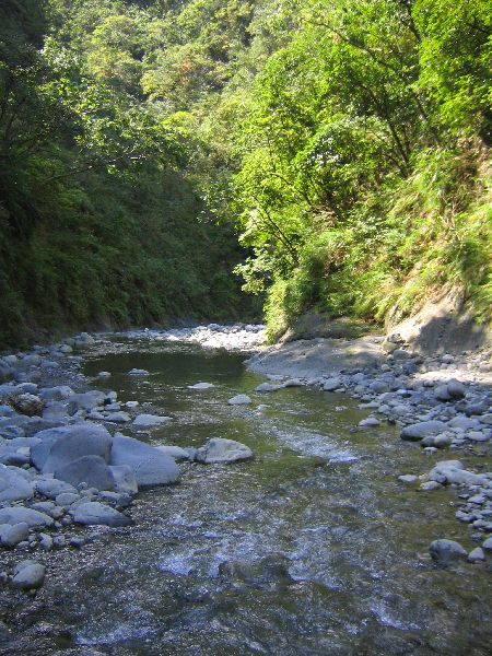 潺潺流水