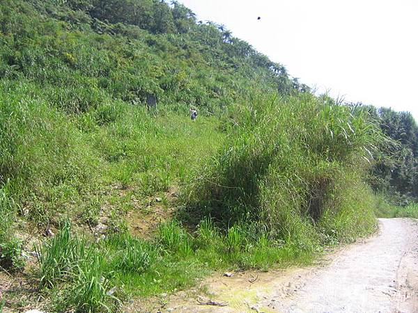 斷牆登山口 在路右後方