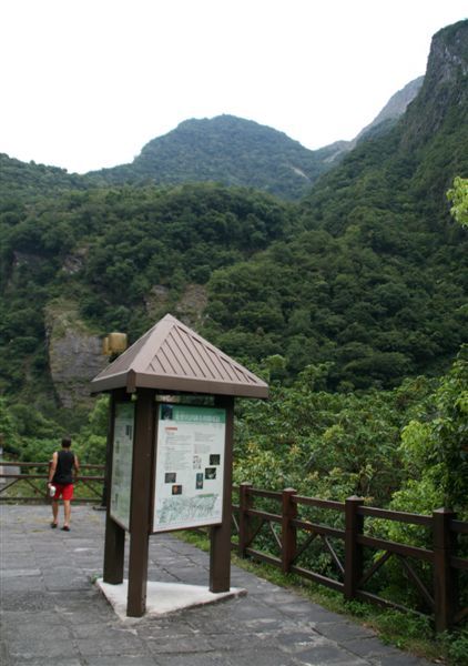 搭賽巴線便車到合流露營區