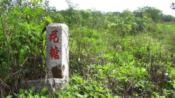 花蓮 台糖的地?