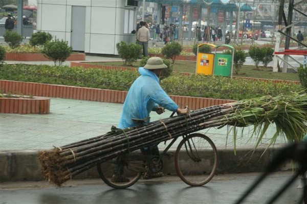 又一奇景!