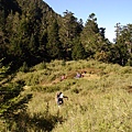 太魯閣大山前鞍營地