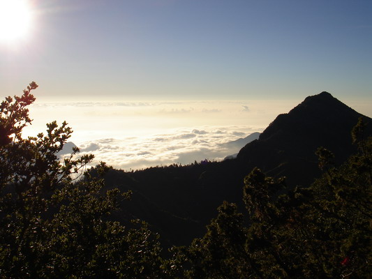 艷陽、雲海、高山