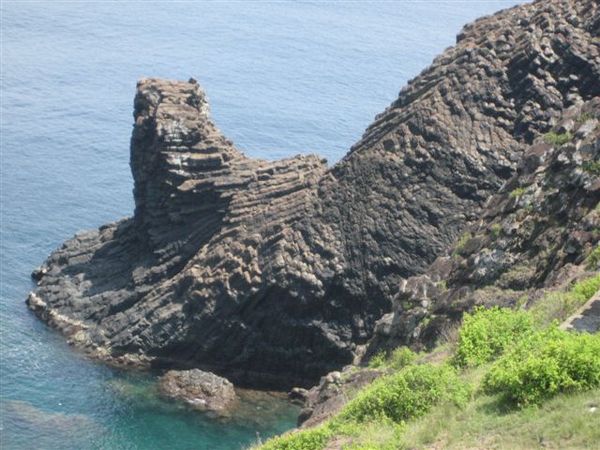 大獅 龍珠 老鷹