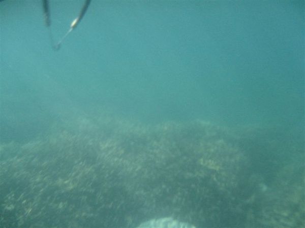 接下來是海底風景