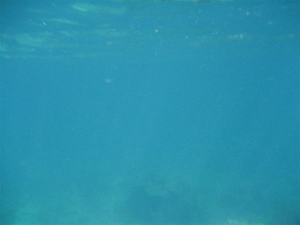 藍藍的大海