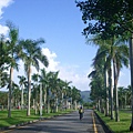 東華20080923-03.JPG