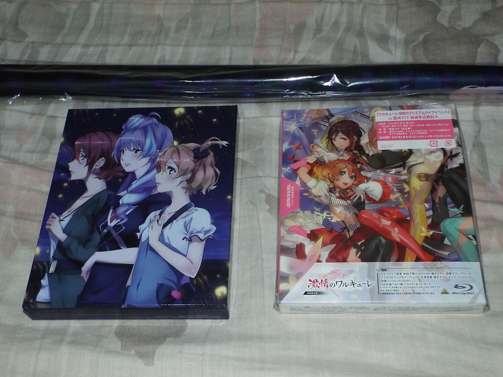 レポ ワルキューレ 扇情のプレミアムライブイベント At 豊洲pit 劇場版マクロスd 激情のワルキューレ開封の儀 Pちゃんの地球ヲタ化アジト2nd 痞客邦