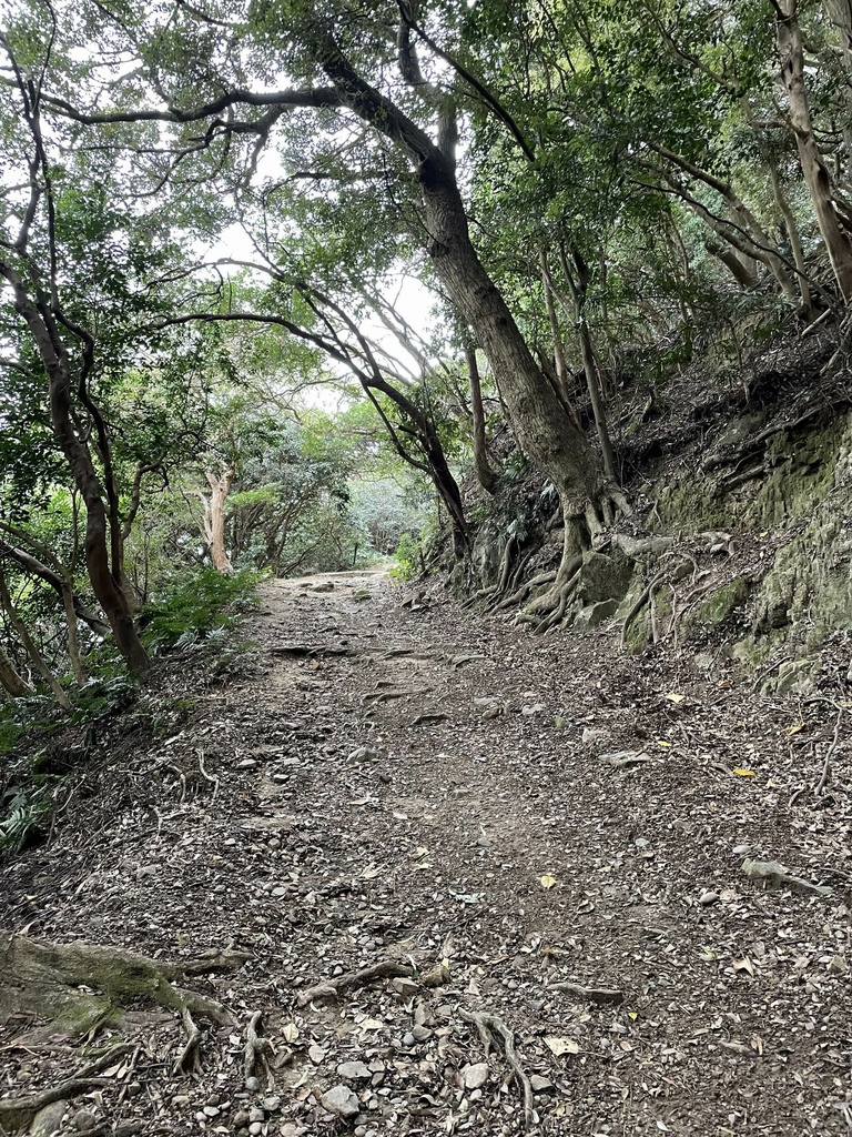 デスクリムゾン(ポプテピピック)聖地巡礼in友ヶ島