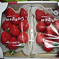 070213 好貴好貴的日本大草莓