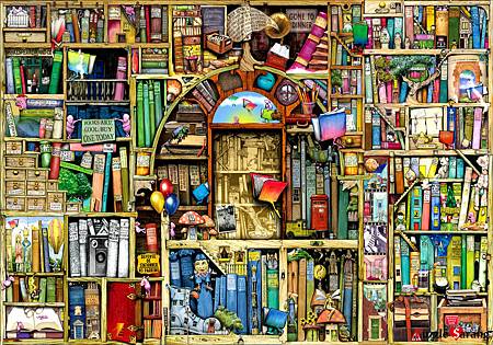 Kyelimbook-The Bizarre Bookshop 2 by Colin Thompson -500pcs.jpg