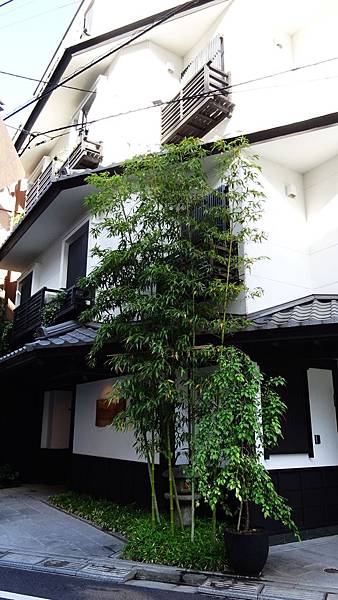 DSC00274.JPG DSC00274.JPG