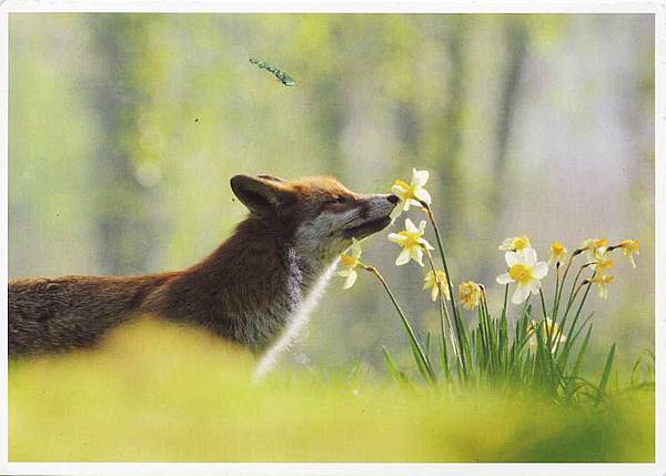 POST007.jpg POST007.jpg