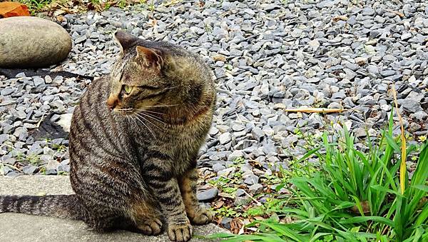 321巷 (2).JPG 321巷 (2).JPG