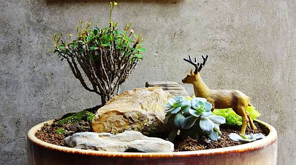 321巷(18).JPG 321巷(18).JPG