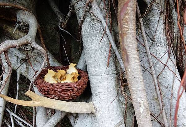 321巷(22).JPG 321巷(22).JPG