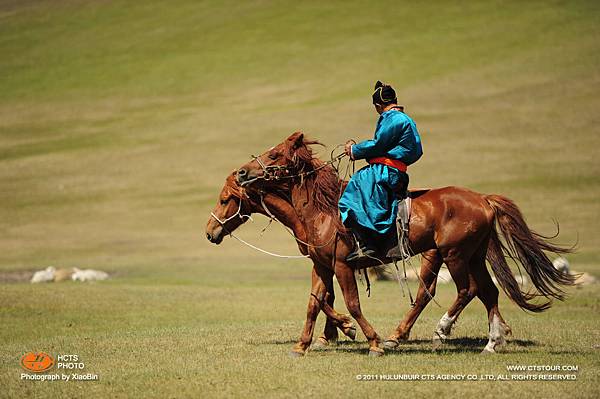 自帶除草機 自帶除草機