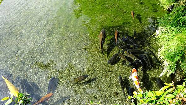 DSC04444.JPG DSC04444.JPG