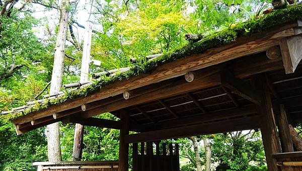 DSC04477.JPG DSC04477.JPG