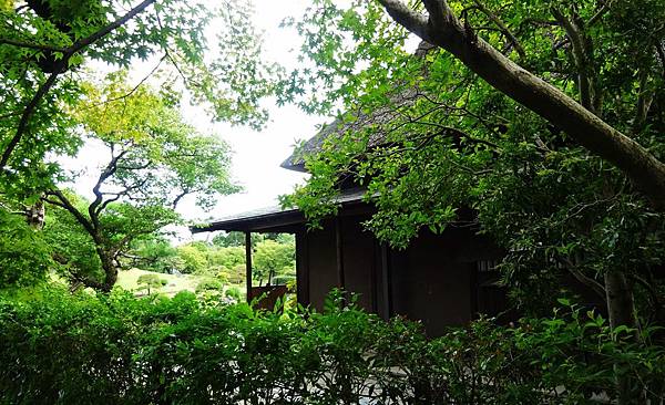 DSC04480.JPG DSC04480.JPG