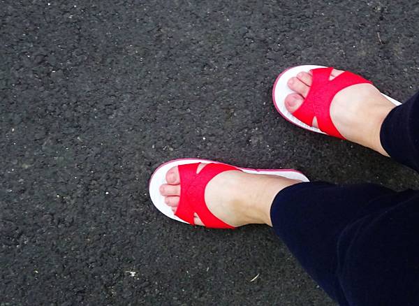 2017021112軟爛團北投行 (44).JPG 2017021112軟爛團北投行 (44).JPG