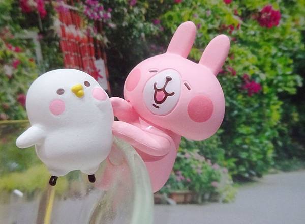 2017卡娜赫拉 (8).JPG