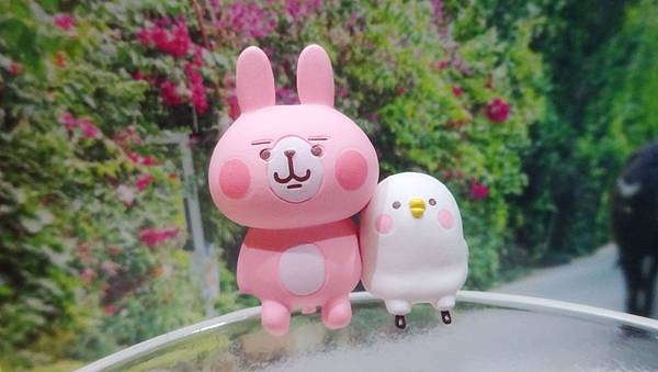 2017卡娜赫拉 (14).JPG