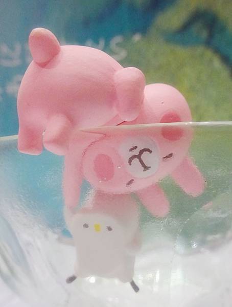 2017卡娜赫拉 (17).JPG