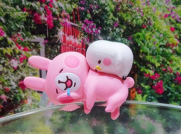 2017卡娜赫拉 (21).JPG