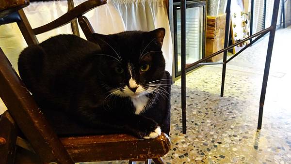 0218鹿早 (26).jpg 0218鹿早 (26).jpg