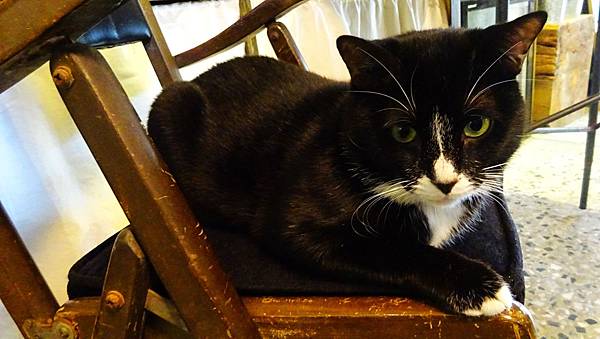 0218鹿早 (27).jpg 0218鹿早 (27).jpg