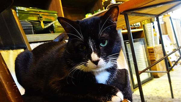 0218鹿早 (28).jpg 0218鹿早 (28).jpg