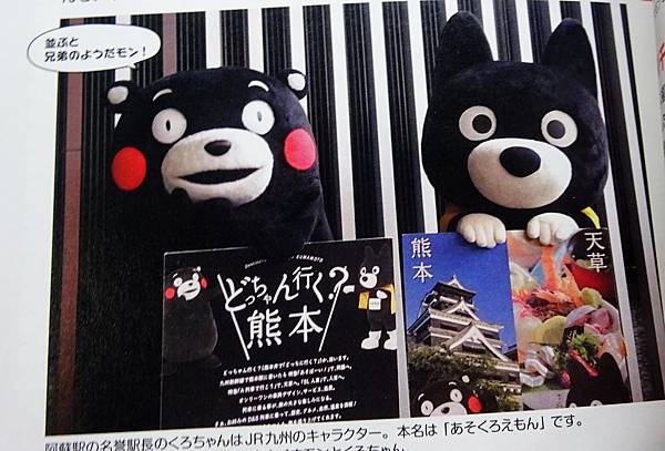 熊本熊寫真集 (13).jpg